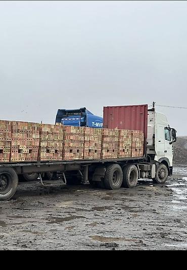 кирпичный апарат: Пустотелый, дырчатый, Жженый кирпич, Полублок, 250×120×85 — 1
