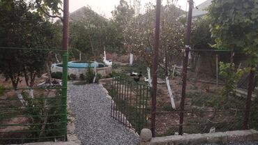Çəngəllər: 2 sot, Mülkiyyətçi, Bələdiyyə
