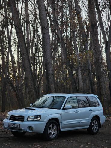 forester sf: Subaru Forester: 2002 г., 2 л, Автомат, Бензин, Кроссовер