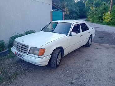 Mercedes-Benz: Mercedes-Benz W124: 1988 г., 2.3 л, Механика, Бензин, Седан