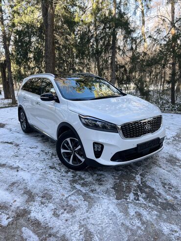 Kia: Kia Sorento: 2019 г., 2 л, Автомат, Дизель, Кроссовер