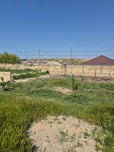 Torpaq: 4 sot, Tikinti, Kupça (Çıxarış) — 4