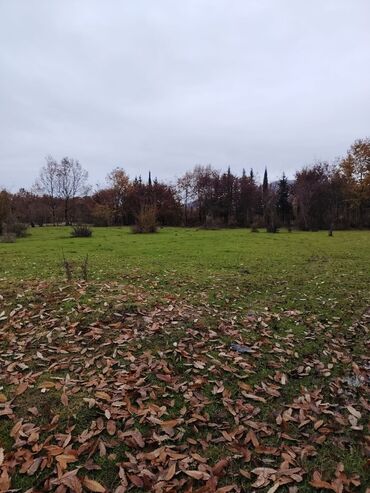 Torpaq sahələrinin satışı: 18 sot, Kənd təsərrüfatı, Mülkiyyətçi, Bələdiyyə — 10