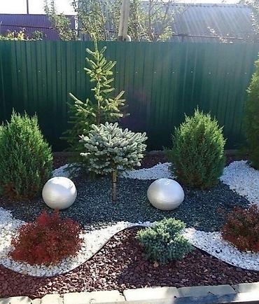 Другие товары для дома и сада: Услуги Садовника Стрижка живой изгороди Уборка дикой травы Покос at lalafo.kg — 19 Другие товары для дома и сада: Услуги Садовника Стрижка живой изгороди Уборка дикой травы Покос — 19