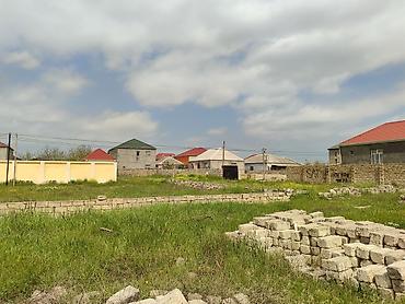binədə: Kənd təsərrüfatı, Kupça (Çıxarış) — 6