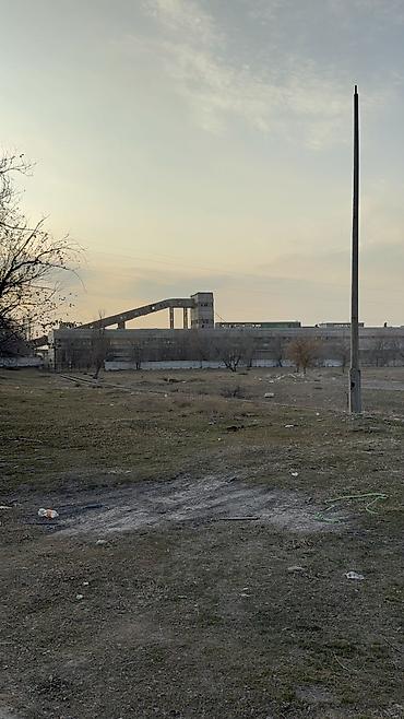 участок в центре города: 280 соток, Красная книга — 9