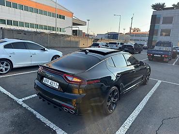 Kia: Kia Stinger: 2019 г., 2 л, Автомат, Бензин, Хэтчбэк — 6