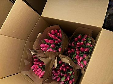 Букеты из живых цветов: В наличии Тюльпаны🌷💐 имеются в ярких и разных цветах . также есть — 10