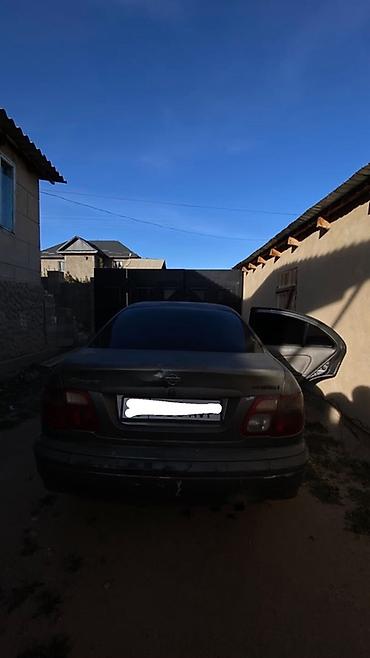 ниссан примера подушка: Nissan Almera: 2002 г., Механика, Бензин, Седан — 4