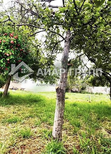Продажа коттеджей и домов: ‼️ ПРОДАЁТСЯ ДОМ НА ИССЫК-КУЛЕ ‼️ 🔷 с. Бактуу-Долоноту (Хутор) 🔷 2-я at lalafo.kg — 8 Продажа коттеджей и домов: ‼️ ПРОДАЁТСЯ ДОМ НА ИССЫК-КУЛЕ ‼️ 🔷 с. Бактуу-Долоноту (Хутор) 🔷 2-я — 8