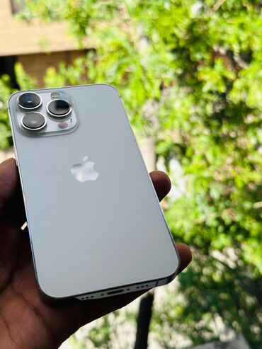 Apple iPhone: IPhone 13 Pro, White Titanium, 77 %
