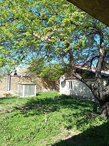 Продажа коттеджей и домов: Дом с ухоженным двором и хозяйственными постройками Ватсап — 5
