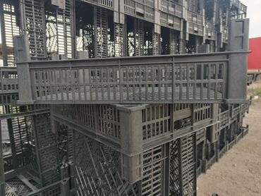Иссык-Куль 2025: Номер, НОВИНКА