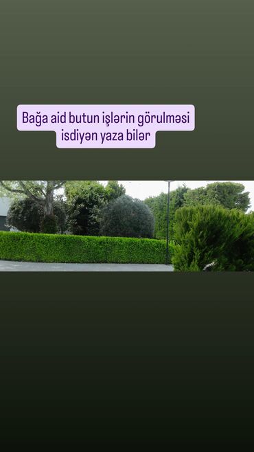 lenkeranda is elanlari 2021: Bağ işləri görulur.ən munasib qiymət.bağban kimə lazım olsa buyurub
