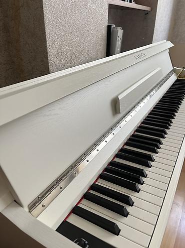 Музыкальные инструменты: Elektron piano 
Yeni kimidir 
Köçdüyüm üçün satıram — 4