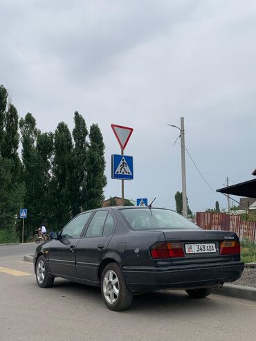 я ищу лада приора: Nissan Primera: 1991 г., 2 л, Механика, Дизель, Седан