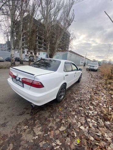 honda torneo 2002: Honda Torneo: 1998 г., 1.8 л, Автомат, Бензин, Седан