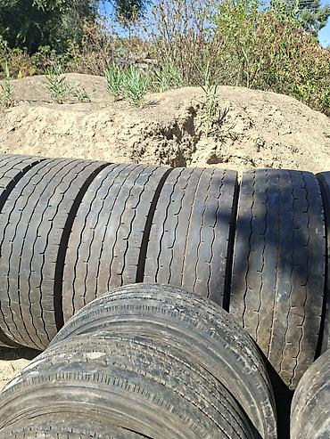 червяк 124: Грузовые шины Aeolus 315/70 R22.5 - Размер: 315/70 R22.5 - — 1