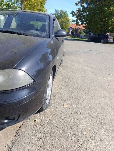 Seat: Seat Ibiza: 1.9 l | 2004 г. 353991 km Hečbek — 10