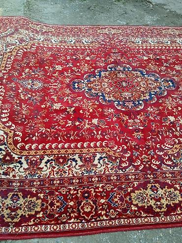 Tepisi i prostirke: Tepih 335 x 240 cm - Veliki klasični orijentalni dizajn - Dominantna — 4