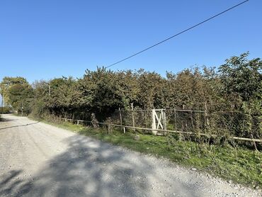 lenkeranda kiraye evler ayliq: 43 sot, Biznes üçün, Mülkiyyətçi, Kupça (Çıxarış)