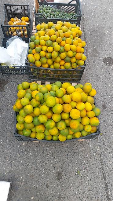 lal ordək sumqayıt: Astara mandarini karli baki tehvil 400 500 kq 1.6 azn super sirin — 1