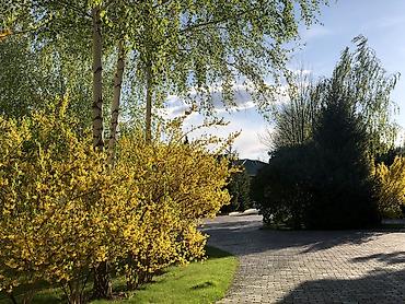 Иссык-Куль 2026: Квартира — 11