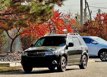 jas: Subaru Forester: 2009 г., Автомат, Бензин, Кроссовер — 8