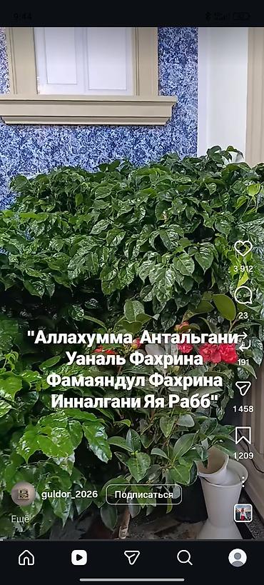 оптом товар: Монтаж инженерных систем отопления и водос набжения под ключ - — 4