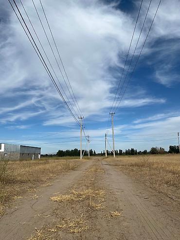 Продажа участков: 4 соток, Для строительства, Красная книга — 3