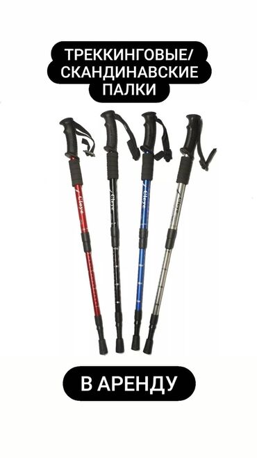палочки для ходьбы: Скандинавские палки на прокат треккинговые палки в аренду палочки для