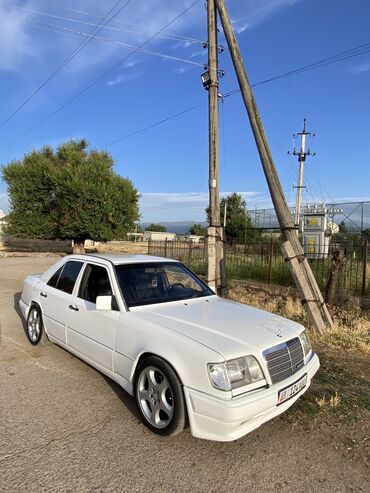 Mercedes-Benz: Mercedes-Benz W124: 1994 г., 2.2 л, Автомат, Бензин, Седан