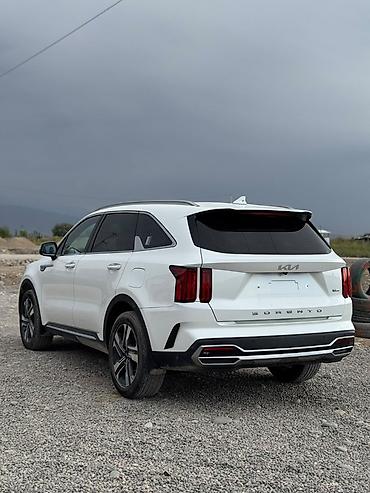 защита капота: Kia Sorento: 2022 г., 1.6 л, Автомат, Гибрид, Кроссовер — 5