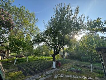 Продажа домов: Дом, 120 м², 6 комнат, Собственник, Косметический ремонт — 7