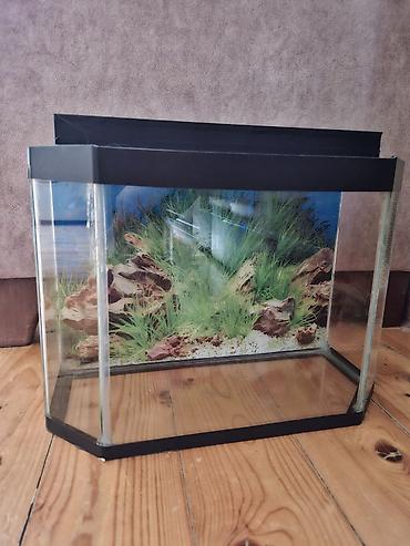 akvarium matoru: Boş, 8 l — 2