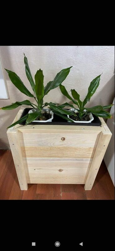 Police: 4500rsd lakirane bezjonim lakom
4.800rsd u bojama po izboru — 4