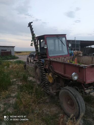 беларусь трактор 82: Продаётся трактор т16 с агрегатами, (сеялкакультиватор, косилка
