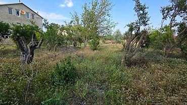 8ci km: 12 sot, Tikinti, Mülkiyyətçi — 5