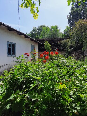 Продажа домов: Дом, 73 м², 5 комнат, Собственник, Косметический ремонт at lalafo.kg — 8 Продажа домов: Дом, 73 м², 5 комнат, Собственник, Косметический ремонт — 8