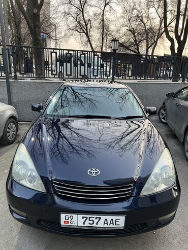 хорошее качество: Toyota Windom: 2003 г., 3 л, Автомат, Бензин, Седан