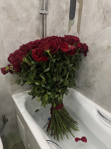 Цветы и букеты: Продаю 101 свежие метровые голландские розы 🌹
Дарили сегодня