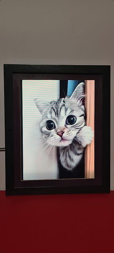 Slike i ramovi: ▪︎ Digitalni foto‑ram sa ekranom u drvenom ramu: Compositor — 1