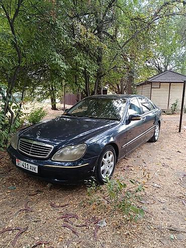 кабан 140: Mercedes-Benz S-Class: 2001 г., 5 л, Автомат, Бензин, Седан — 7