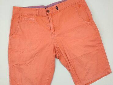 Trousers: Shorts for men, L (EU 40), condition - Fair