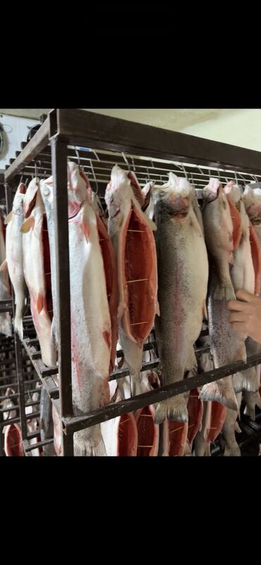 экинчи мончо бишкек цена: Продаю форель в шоковой заморозке Любой объем есть доставка на