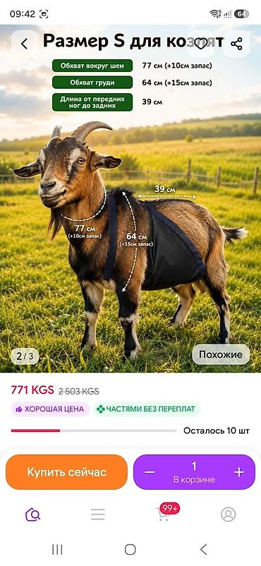 кролик маленький: Попона/жилет для козлят, размер S. Особенности и размеры: - Обхват — 1