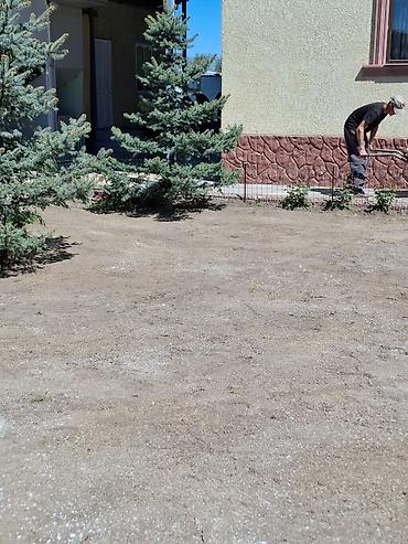 Другие стройуслуги: Газон Под ключ Посев газон 
ландшафтный дизайн сеем
газон — 10