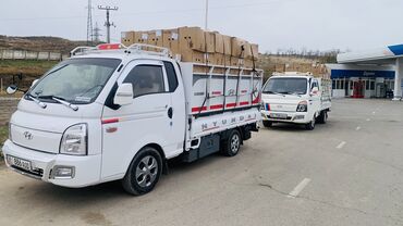 Услуги портера: Заказать Хендай портер, Другие опции — 16