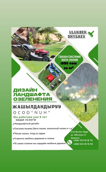 Декоративные деревья: Саженцы деревьев: Туи, Платная доставка at lalafo.kg — 8 Декоративные деревья: Саженцы деревьев: Туи, Платная доставка — 8