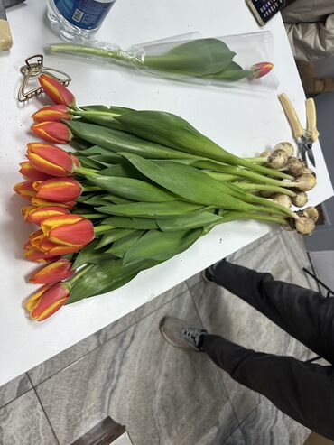 тюльпаны и розы: Семена и саженцы Тюльпанов, Платная доставка